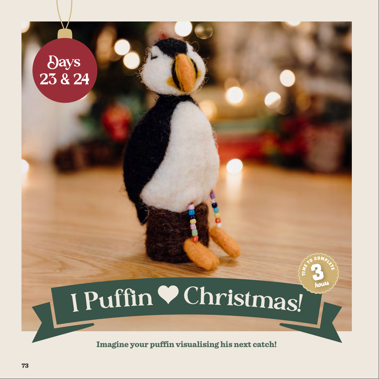 Advent 2025 Instructions Paperback