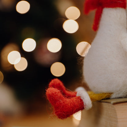 Winter Goose Needle Felting Kit