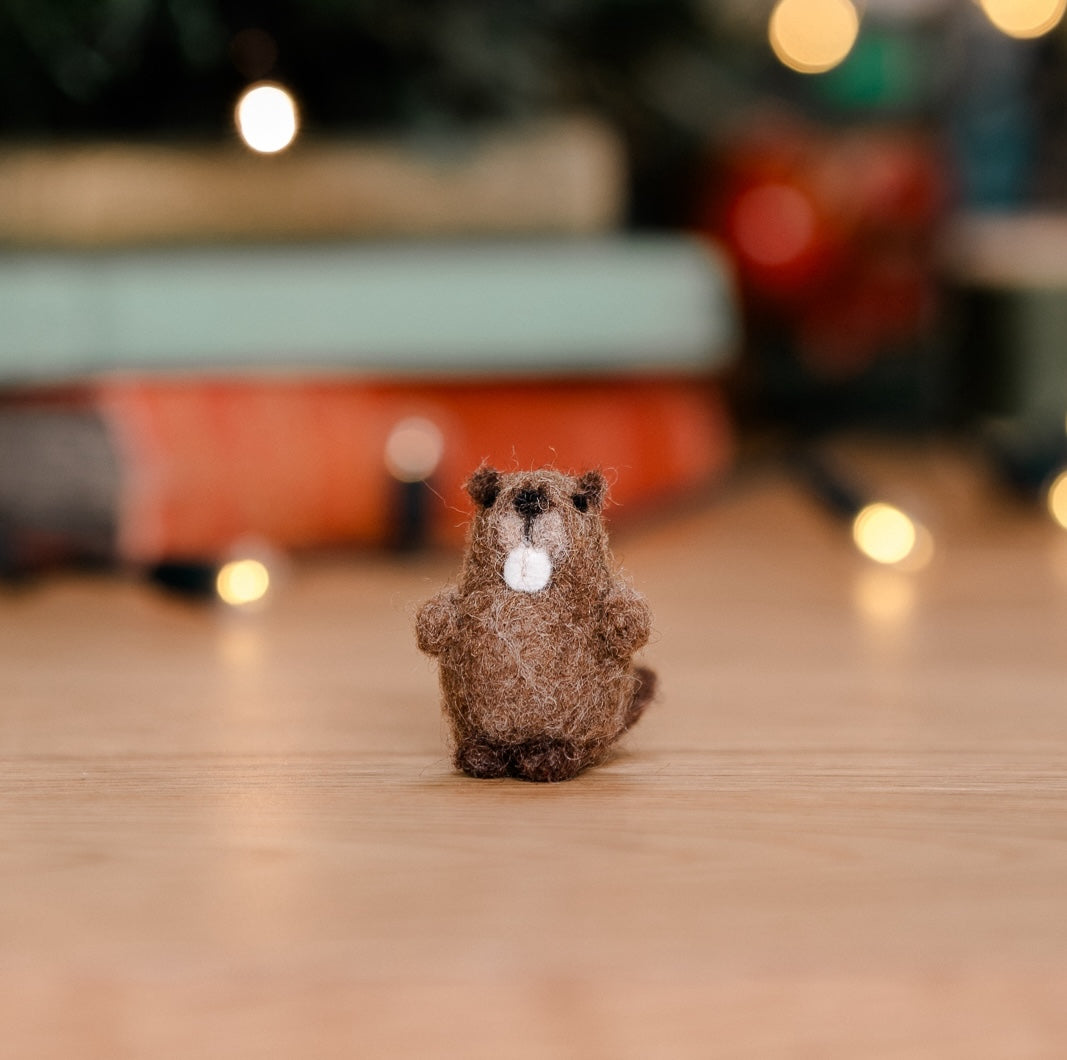Advent Needle Felting Instructions 2024