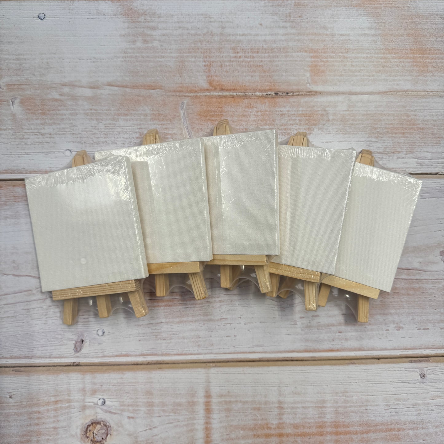 Mini Canvas & Easel - pack of 5