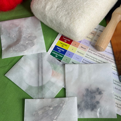 Beginner's Needle Felting Bundle - Spring/Summer Edition