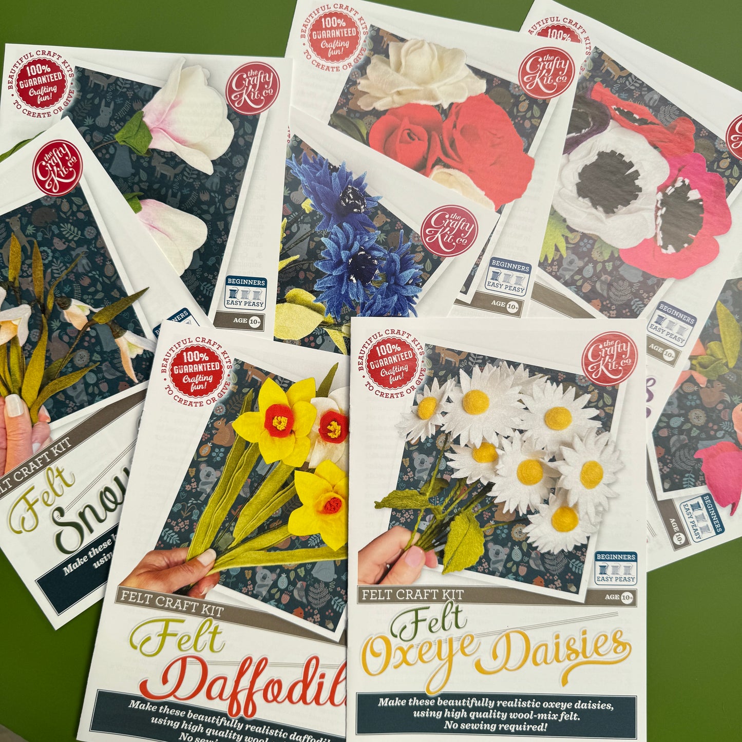 Felt Flowers Craft Instructions Pack