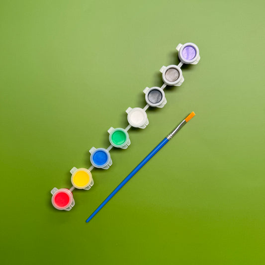 Paint and Paint Brush Set