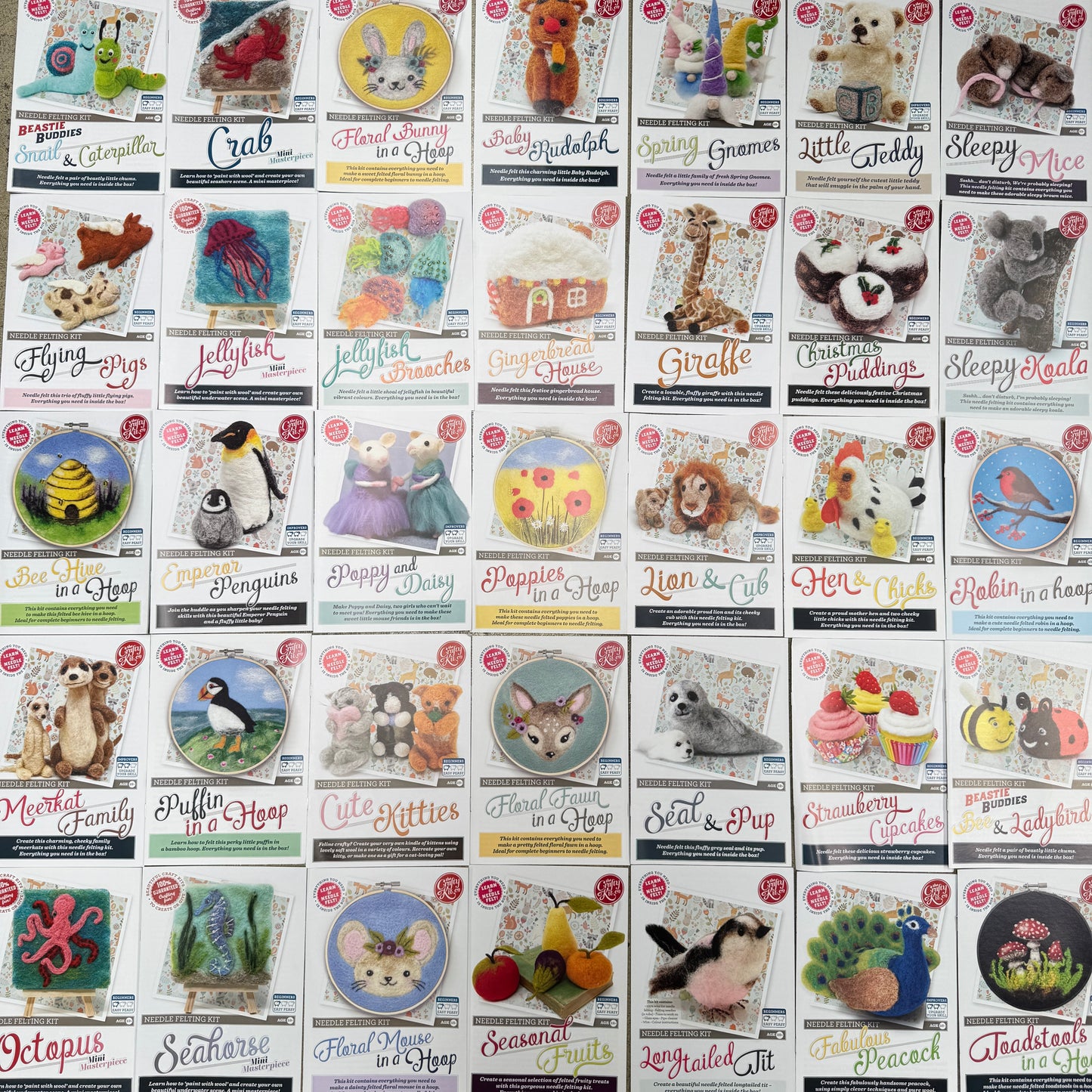 Large Needle Felt Kit Instructions Pack of 35