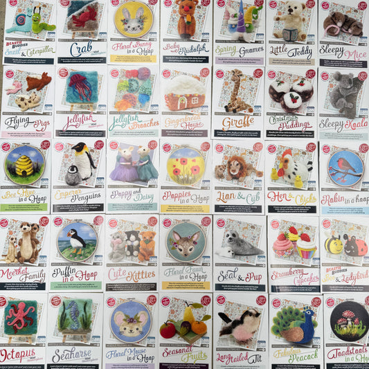 Large Needle Felt Kit Instructions Pack of 35