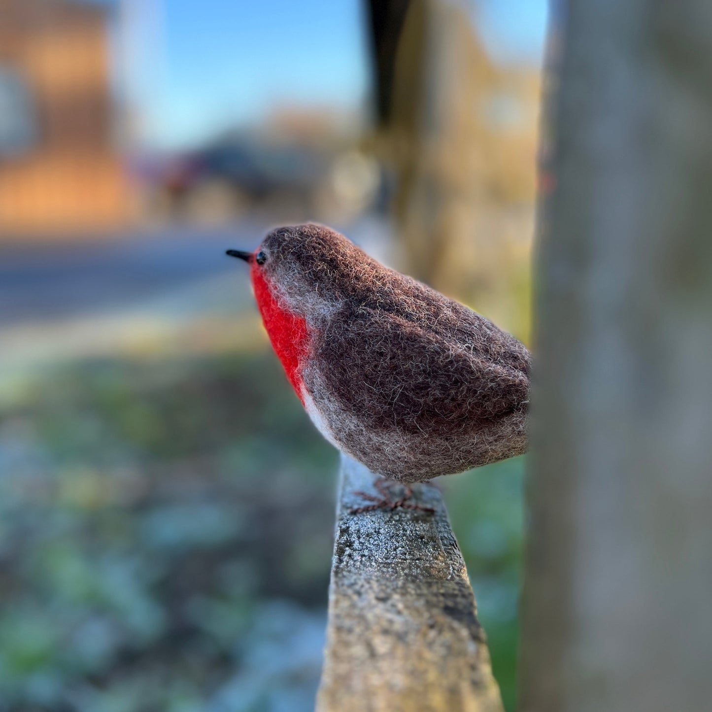 British Birds Robin Needle Felting Craft Kit