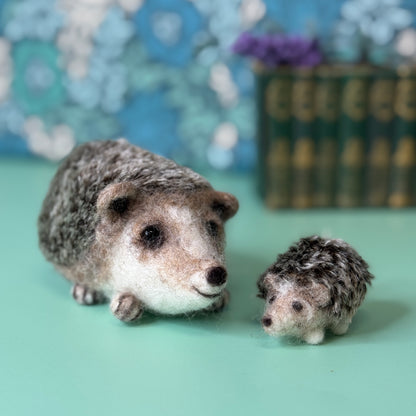 Happy Hedgehogs Needle Felting Craft Kit