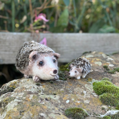 Happy Hedgehogs Needle Felting Craft Kit