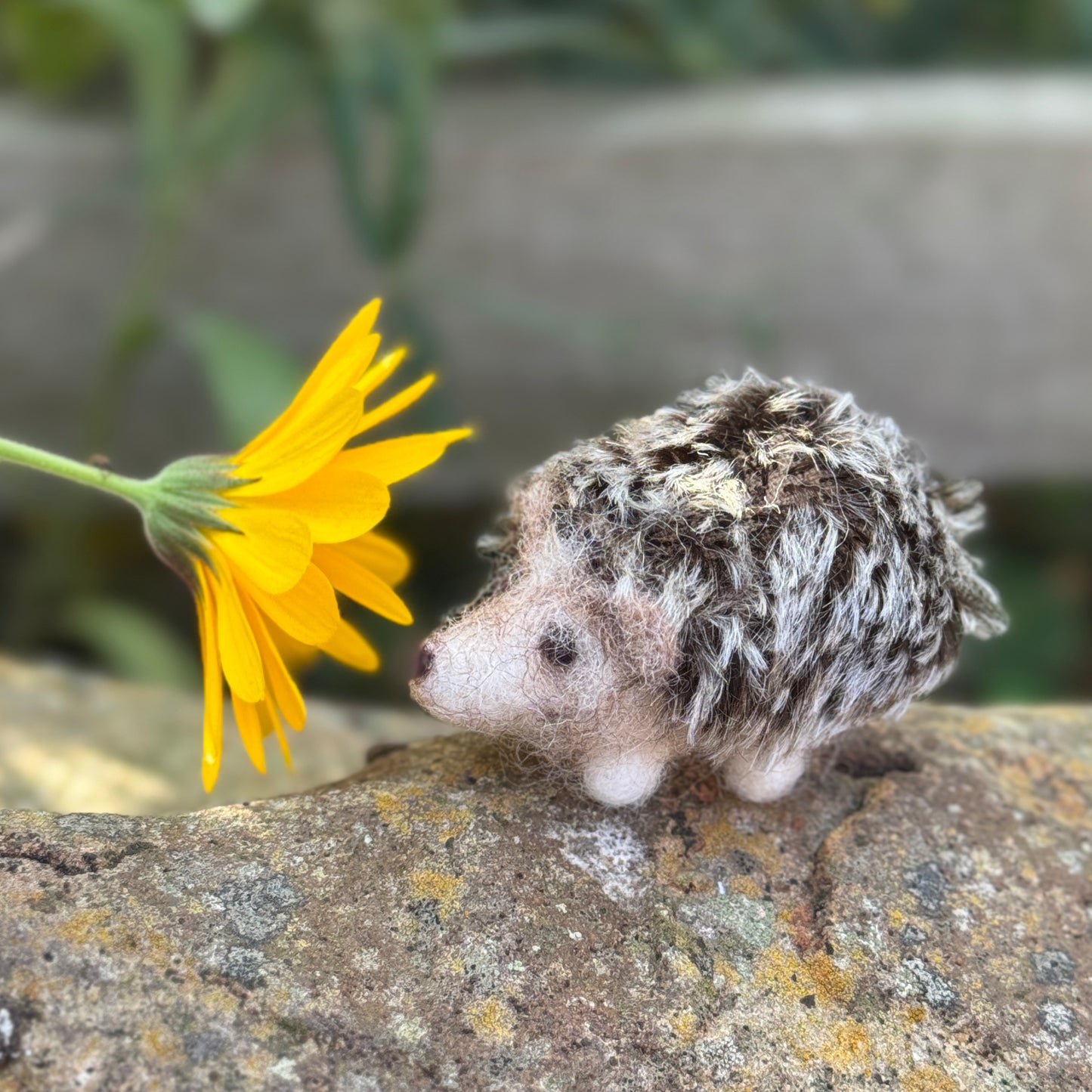 Happy Hedgehogs Needle Felting Craft Kit