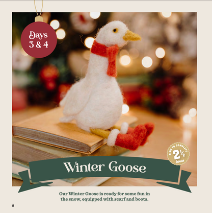 Advent 2025 Instructions Paperback