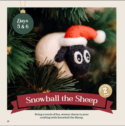 Advent 2025 Instructions Paperback