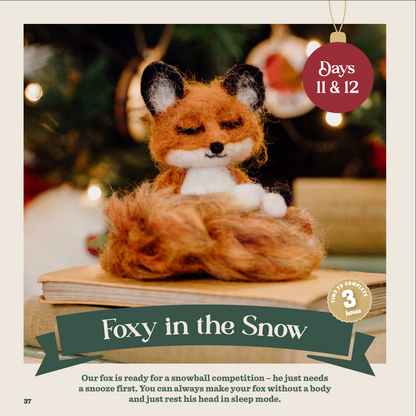 Advent 2025 Instructions Paperback