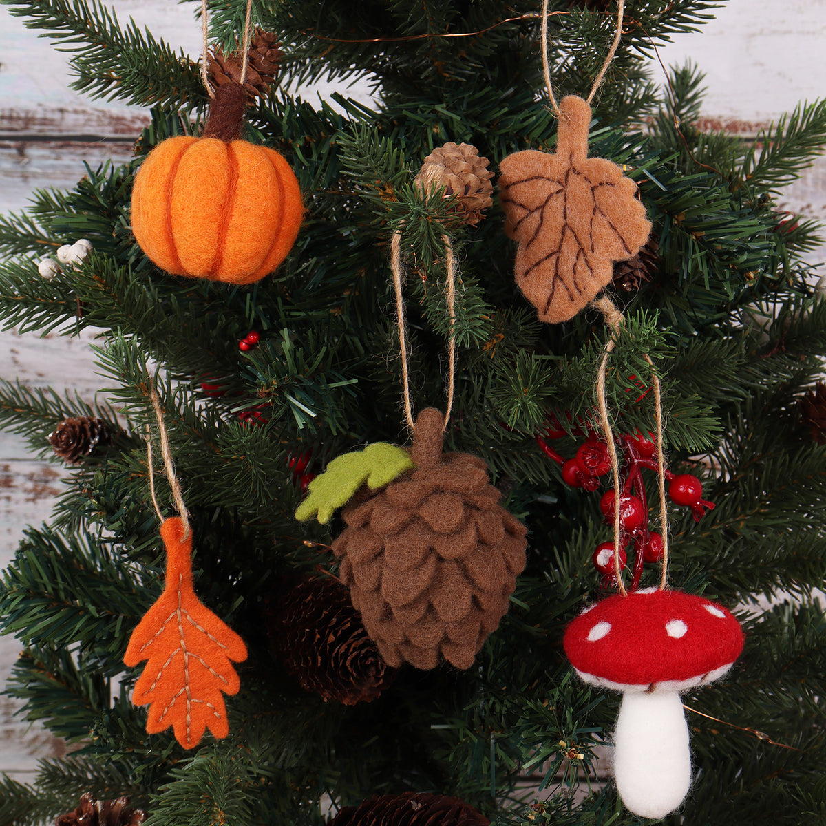 Trimits Autumnal Needle Felt Decoration Craft Kit