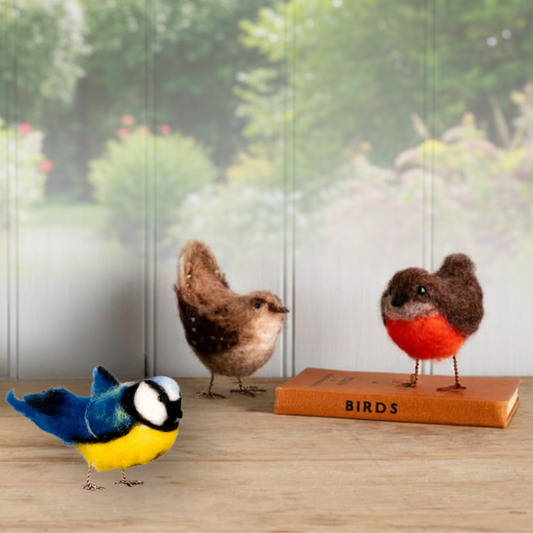 British Birds Needle Felting Craft Bundle