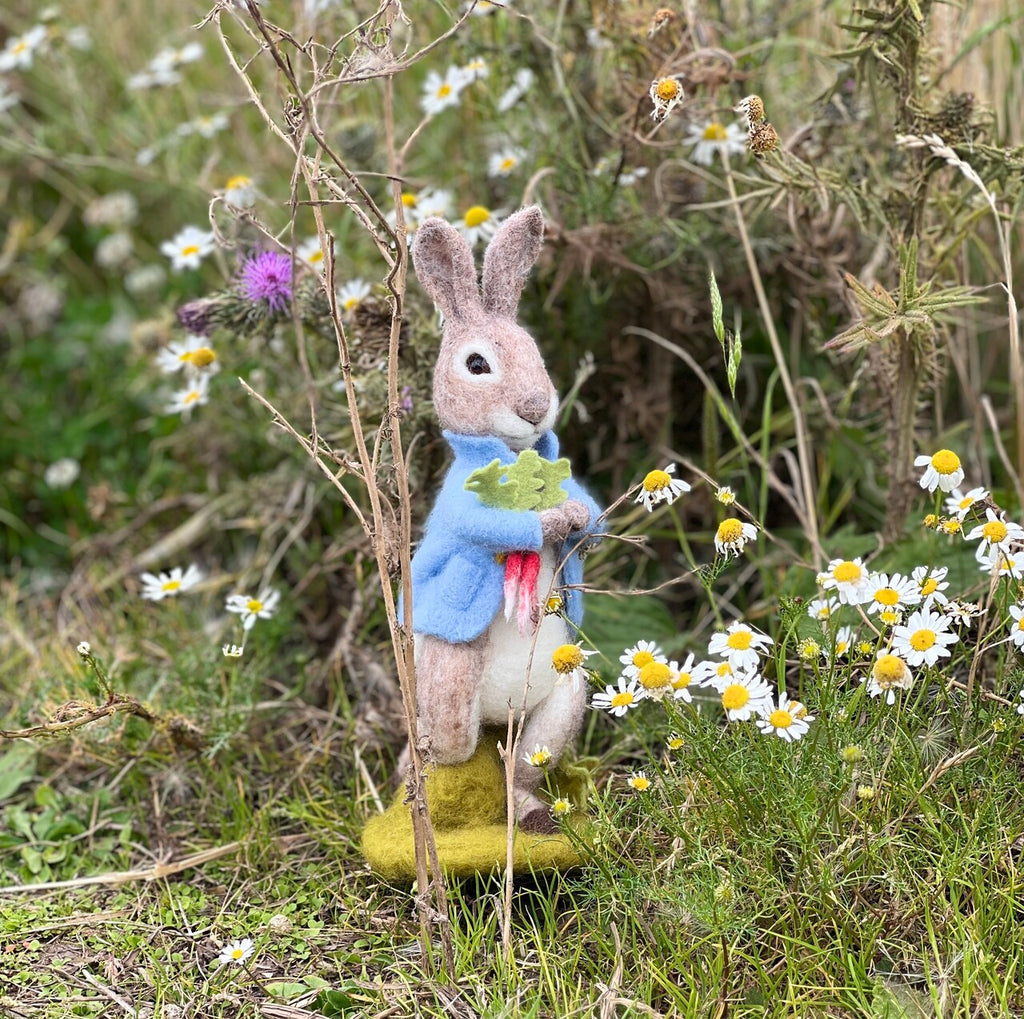 Peter Rabbit and the Stolen Radishes Needle Felting Craft Kit | The ...