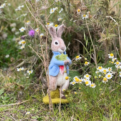 Peter Rabbit and the Stolen Radishes Needle Felting Craft Kit | The ...