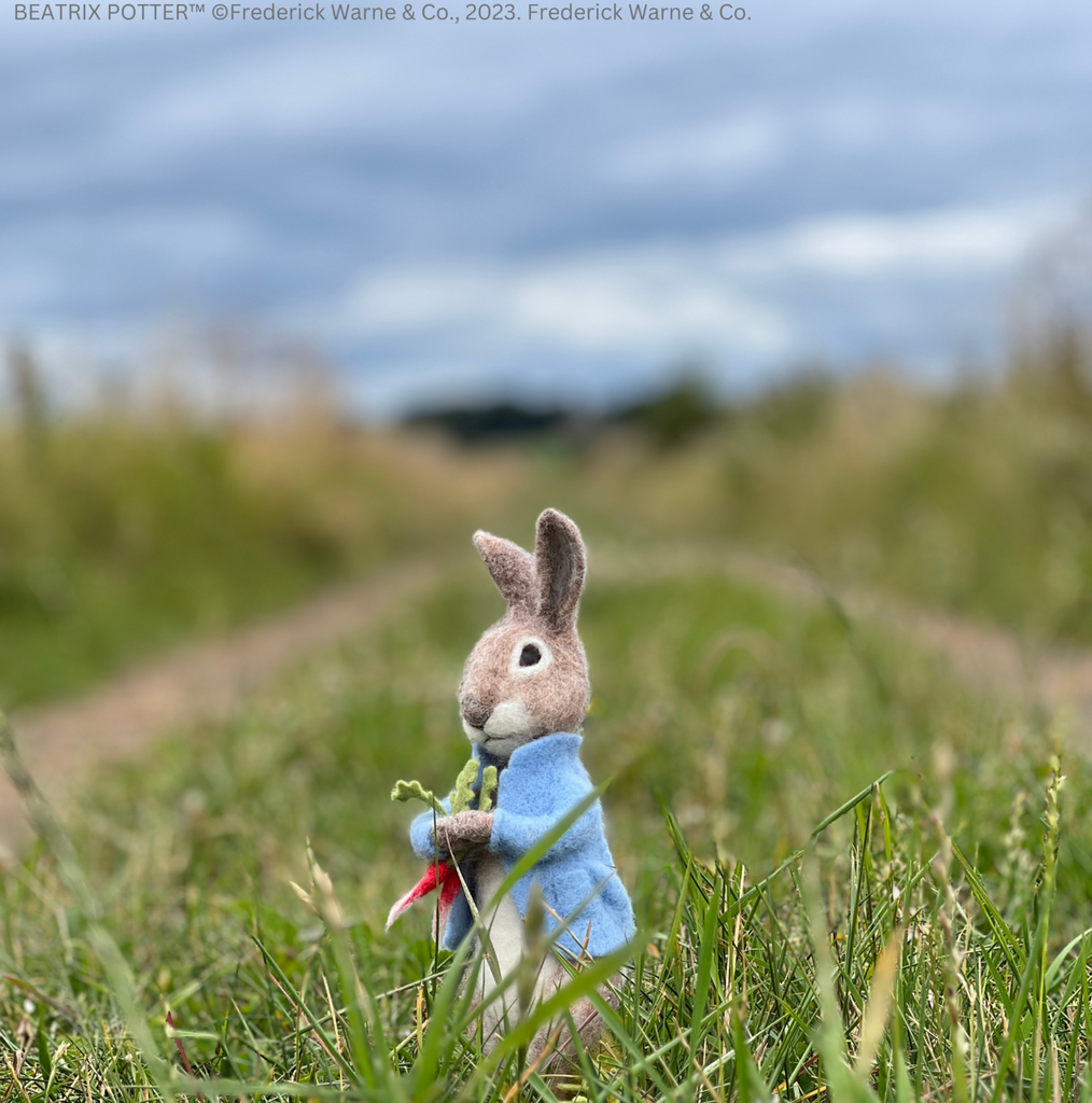 Peter Rabbit and the Stolen Radishes Needle Felting Craft Kit | The ...