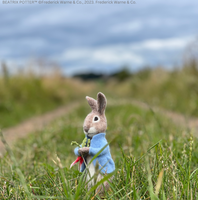 Peter Rabbit and the Stolen Radishes Needle Felting Craft Kit | The ...