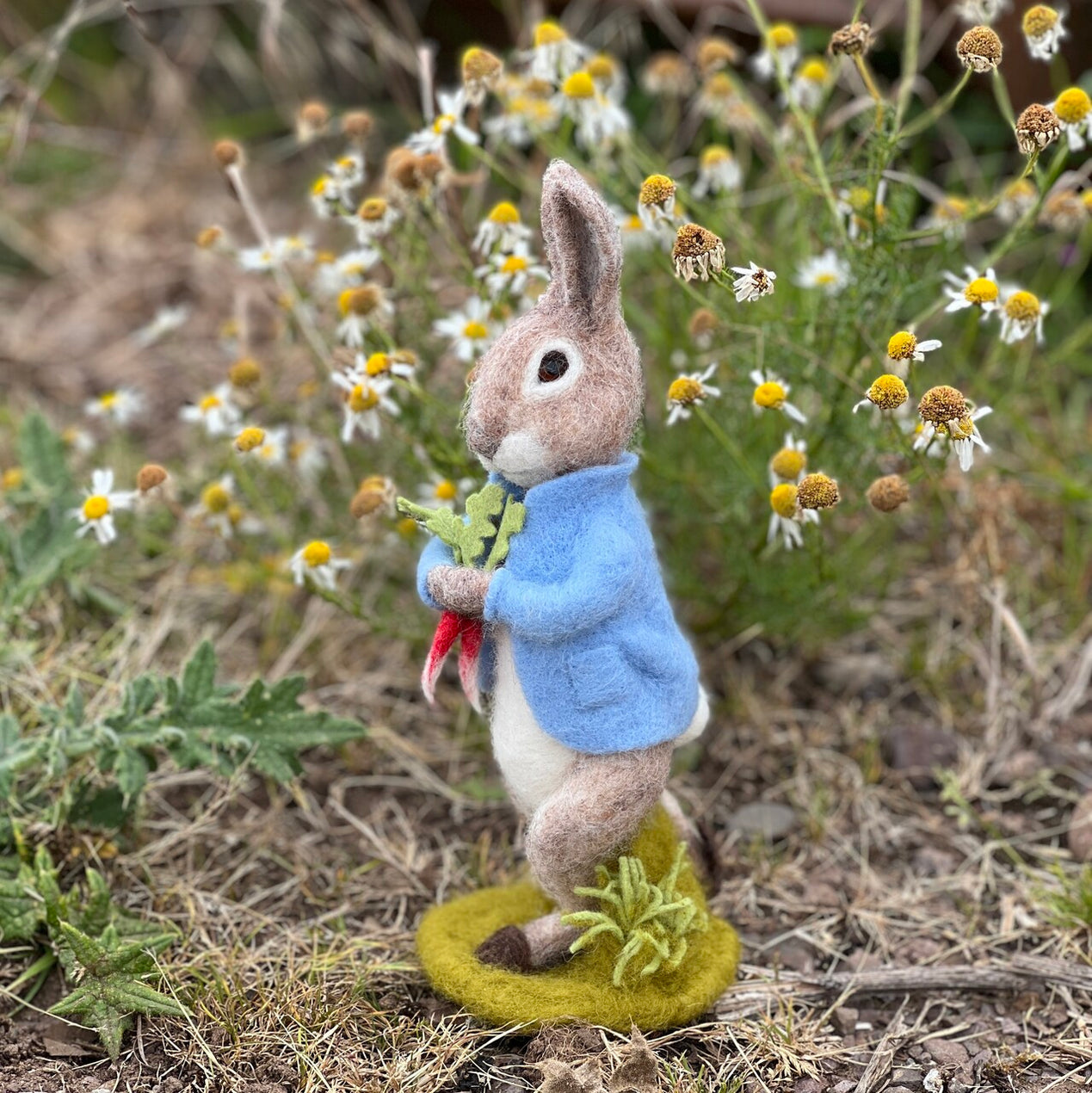 Peter Rabbit and the Stolen Radishes Needle Felting Craft Kit | The ...