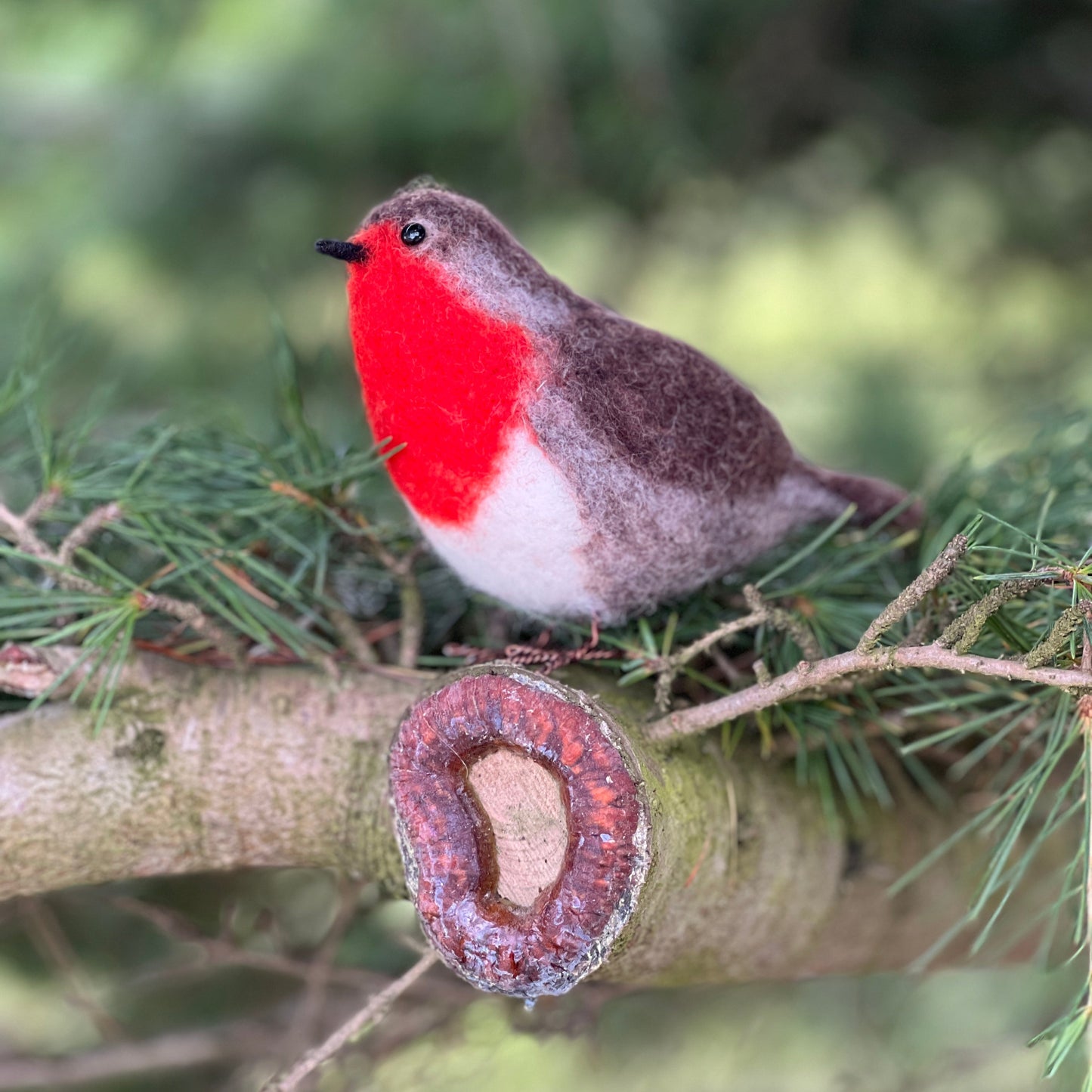 British Birds Robin Needle Felting Craft Kit