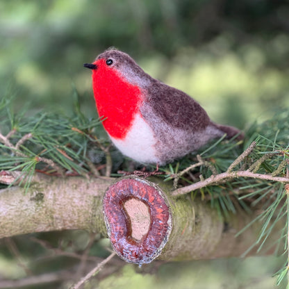 British Birds Robin Needle Felting Craft Kit