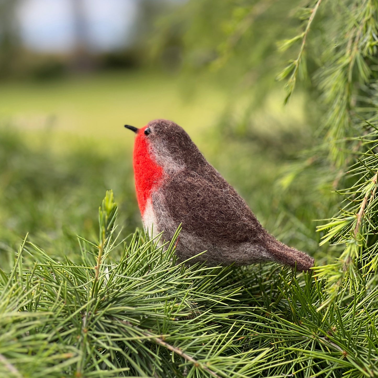 British Birds Robin Needle Felting Craft Kit