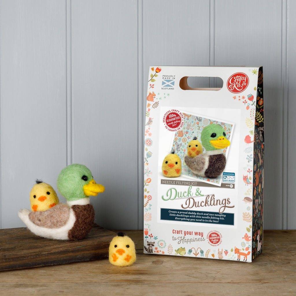 Duck with ducklings and kit box image