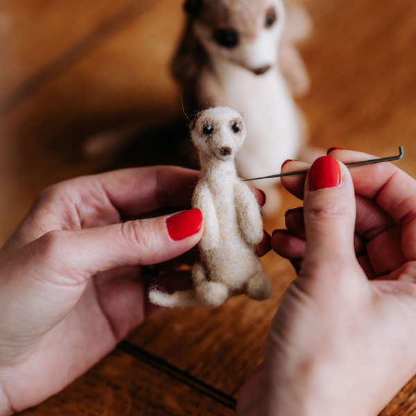Creating the baby Meerkat