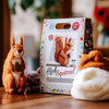 Alternative image for red squirrel and kit box