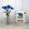 Cornflowers and kit box image