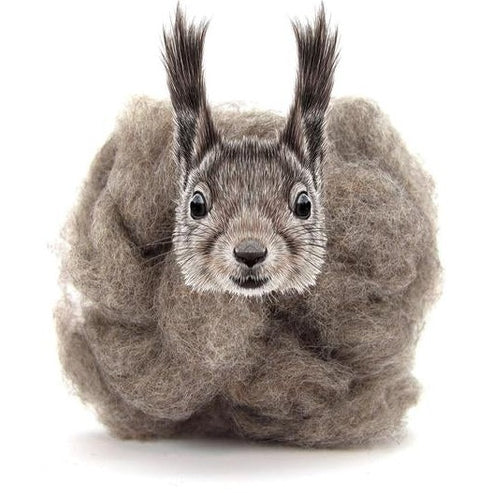 Felting Wool - Squirrel