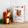 The Crafty Kit Company Highland Red Squirrel Needle Felting Kit
