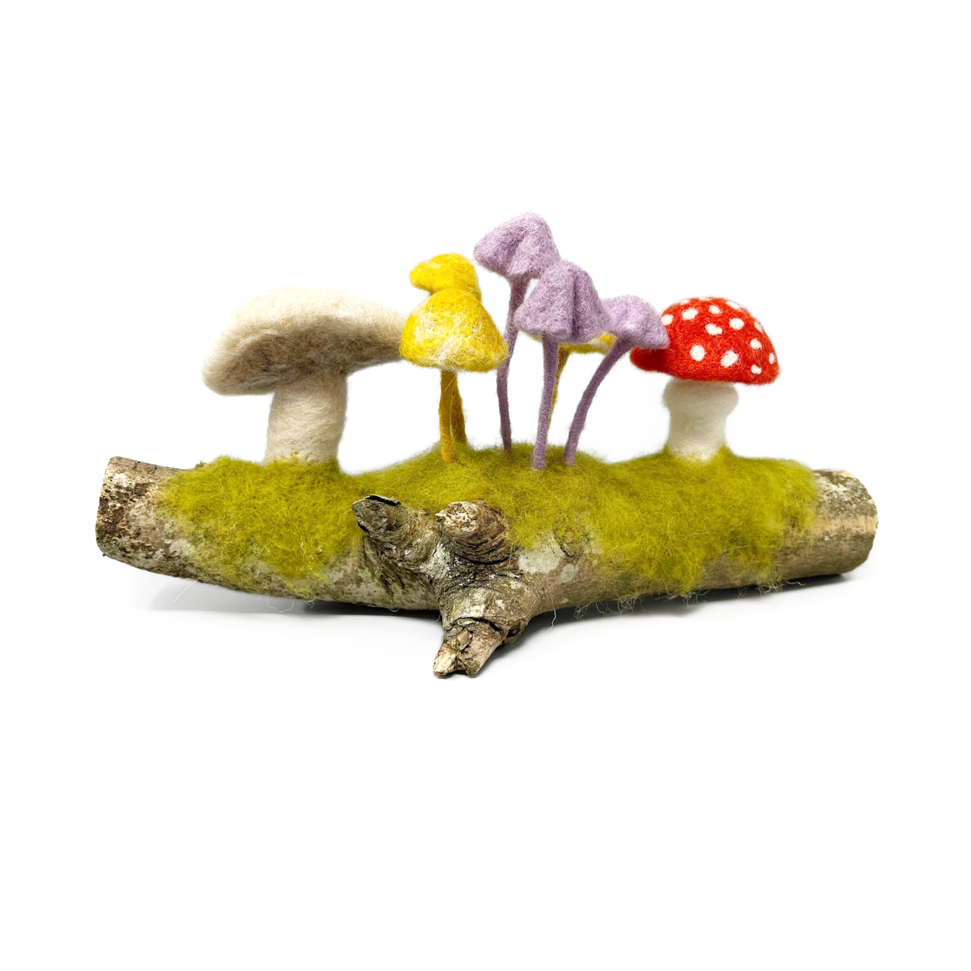 Cardboard Toadstools Woodland Toadstools Needle Felting Craft Kit | The Crafty Kit Company