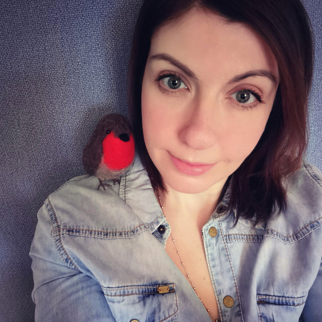 British Birds Robin Needle Felting Craft Kit The Crafty Kit Company