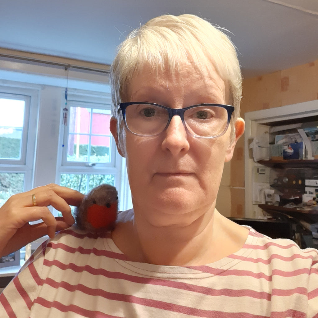 British Birds Robin Needle Felting Craft Kit The Crafty Kit Company